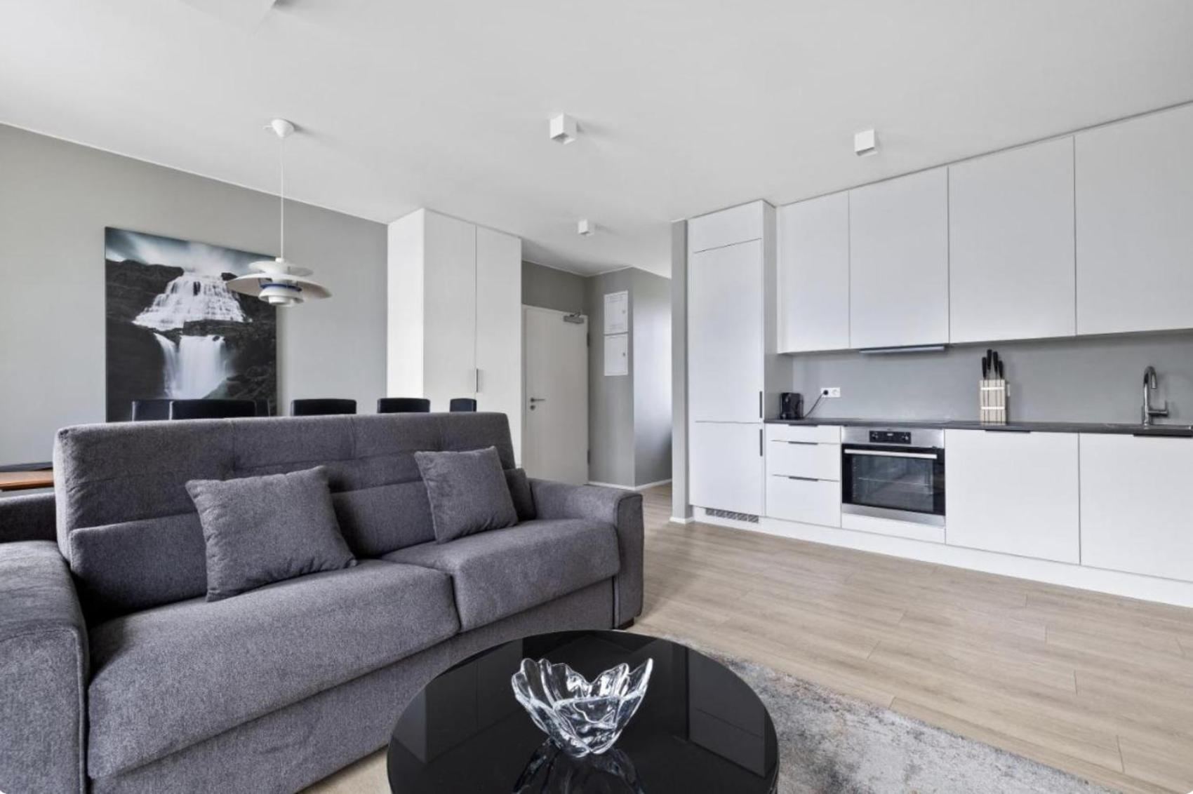 Cheerful Down Town Apartment Reykjavik Exterior photo